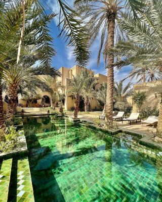 棕櫚沙漠綠洲：突尼西亞托澤爾 (Tozeur, Tunisia) 。