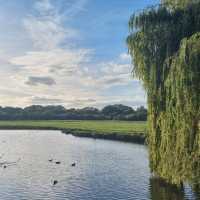 Serene stroll through Sudbury Water Meadows