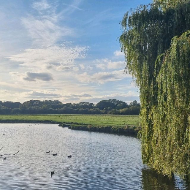 Serene stroll through Sudbury Water Meadows