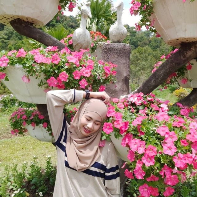 สวนไม้ดอกเมืองหนาวเบตง (สวนหมื่นบุปผา)