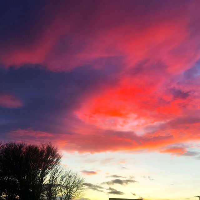 The Monkey's Home; Hartlepool 