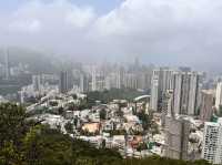 市區簡易郊遊 - 黃泥涌峽徑