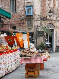 PISA TRAVEL GUIDE