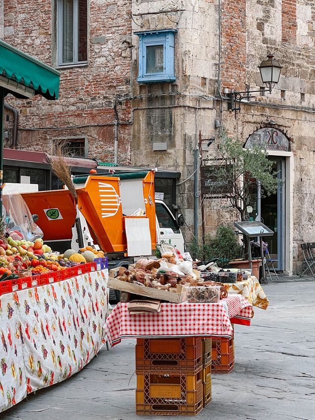 PISA TRAVEL GUIDE