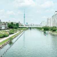 東京市內的繡球花觀賞好地方 |舊中川水邊公園
