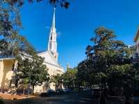 A Quirky Adventure in Savannah