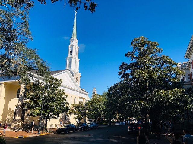 A Quirky Adventure in Savannah