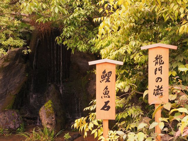 Savoring the Serenity of Kyoto's Kinkaku-ji