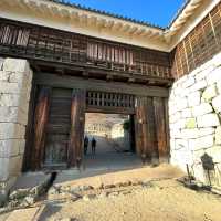 Awesome Matsuyama castle