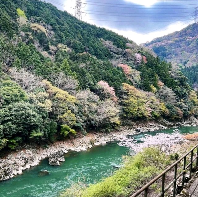 《嵯峨嵐山駅》🌸浪漫風景火車之旅🌸