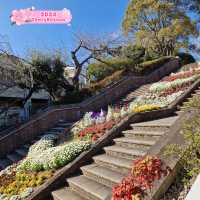 Peace Park Nagasaki 🇯🇵