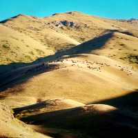 SONG KUL LAKE Horse Trek Guide