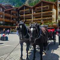Switzerland: A Symphony of Nature and Charm