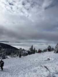 snowboard 🏂🏂🏂