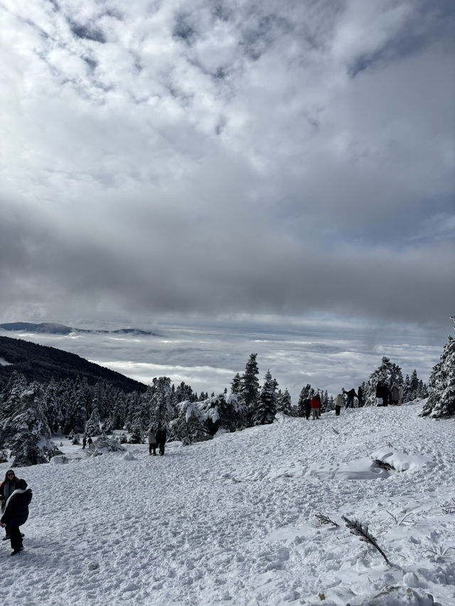 snowboard 🏂🏂🏂