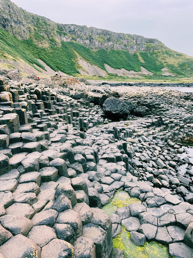 Exploring the Giant’s Causeway: Ireland’s Natural Wonder 🌊⛰️