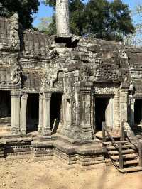 In the footsteps of Lara Croft! 