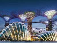 Gardens by the Bay​: Singapore's iconic planet!