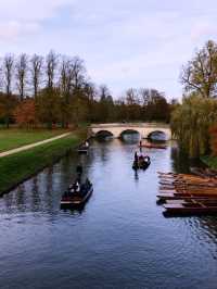 Cambridge by the River: A Scenic Adventure 🌿🚣‍♂️