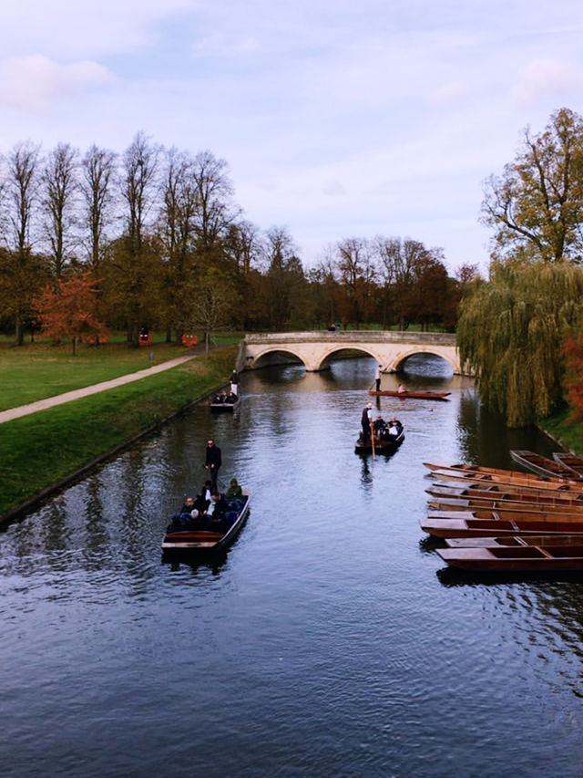 Cambridge by the River: A Scenic Adventure 🌿🚣‍♂️