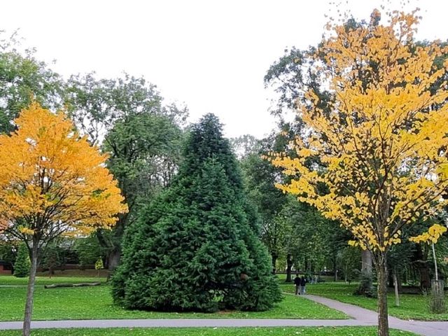 Enjoy the stunning natural parks @ Manchester!