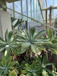 Beautiful Kew Gardens visit at least once!!