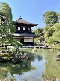 Beautiful Kyoto