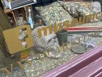 Day trip to Edinburgh wow 