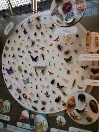 Fossils and Foundations: Discovering Oxford's Natural Wonders
