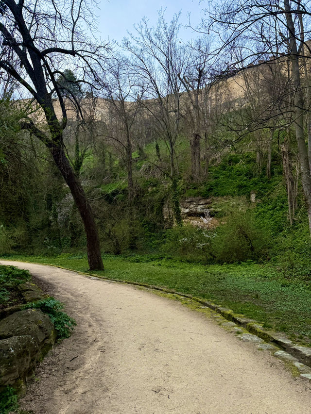 Slow Steps Through Green & Stone