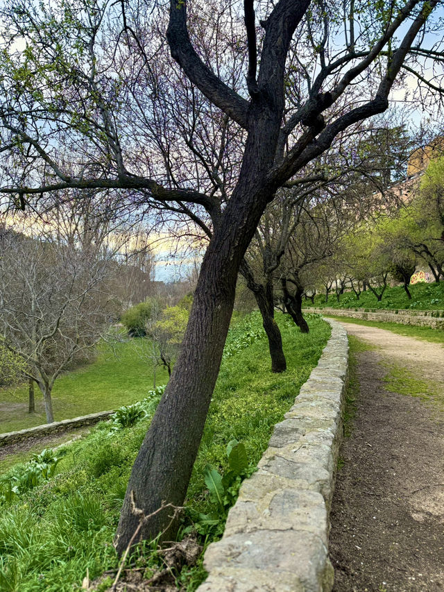 Explorer’s Path to the Castle