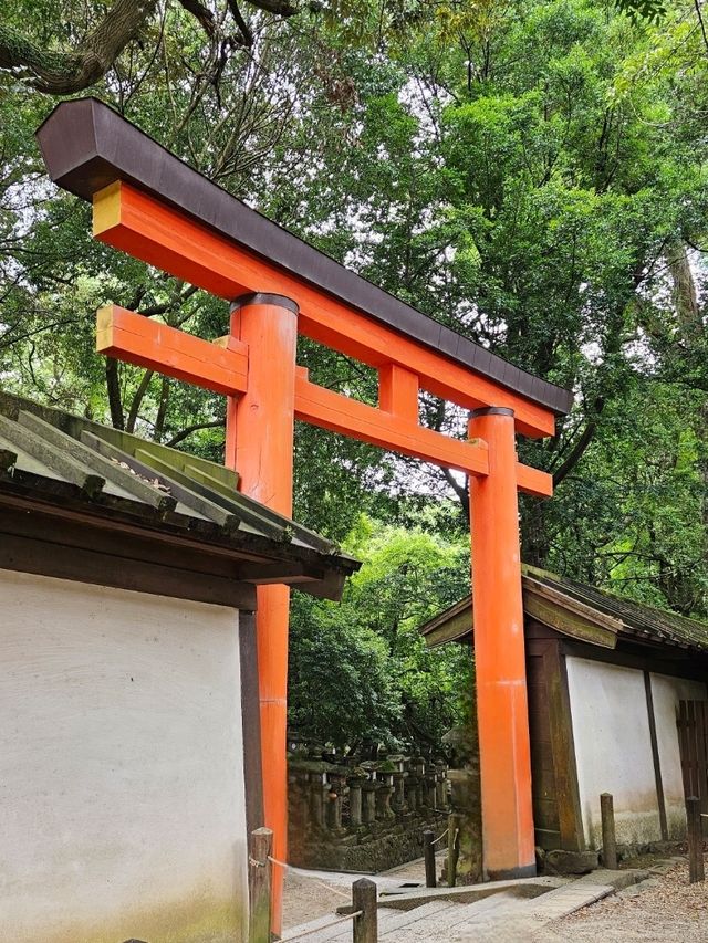 Nara: Sacred Deer and Ancient Wonders
