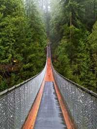 Capilano Suspension Bridge Park: Nature Meets Thrill in Vancouver’s Backyard