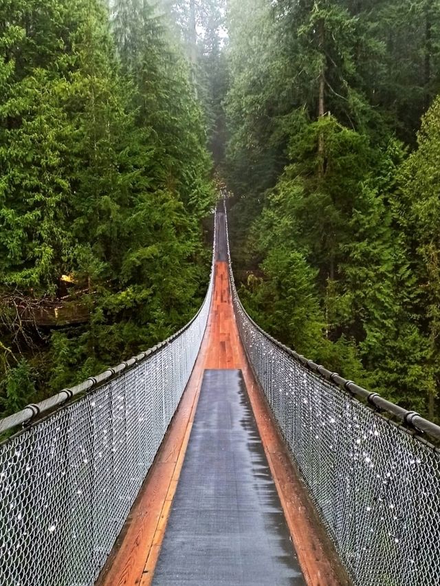Capilano Suspension Bridge Park: Nature Meets Thrill in Vancouver’s Backyard