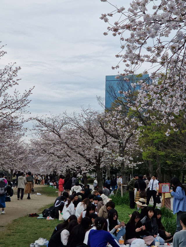 How to spend a weekend in Osaka city 🍢🐉