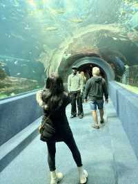 Cape Town Diaries: My Escape to the Edge
