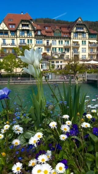 🏞️ Thun – Where Alpine Tranquility Meets Medieval Charm