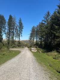 A day at Dartmoor National Park 🌿