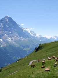 🌄 รีวิวกิจกรรม Grindelwald First Trottibike 🚴‍♀️