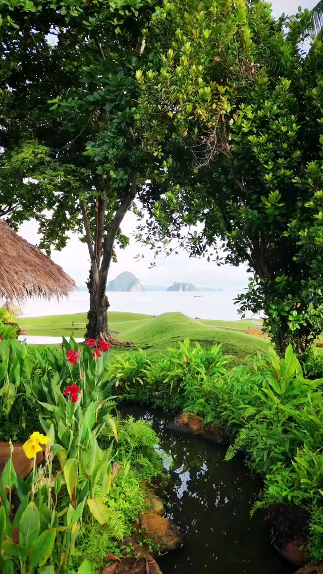 🌺 풀레이 베이 보호구역 – 바다와 고요함이 만나는 곳