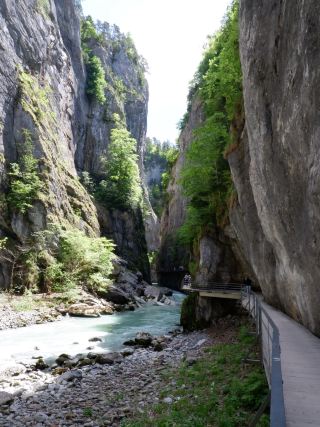 Aareschlucht – 探索壯麗峽谷的行程分享