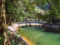 Tam Coc: Vietnam’s Hidden Gem of Limestone Peaks and Peaceful Rice Fields