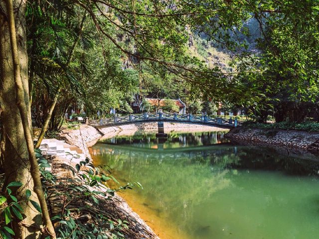 Tam Coc: Vietnam’s Hidden Gem of Limestone Peaks and Peaceful Rice Fields
