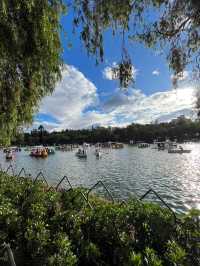 🌲✨ Breathe Easy at Burnham Park — The Heartbeat of Baguio 🚣‍♀️🌼  