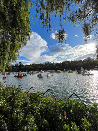🌲✨ Breathe Easy at Burnham Park — The Heartbeat of Baguio 🚣‍♀️🌼  