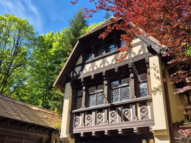 🏰 Royal Dreams in the Carpathians: Why Peleș Castle Feels Like a Fairytale 🇷🇴✨ 🏰 Royal Dreams in the Carpathians: Why Peleș Castle Feels Like a Fairytale 🇷🇴✨