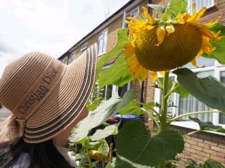 Charming Whitstable town in Kent