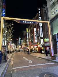 Tokyo’s Shinjuku: Neon Memories, Monster Sights & Artistic Vibes