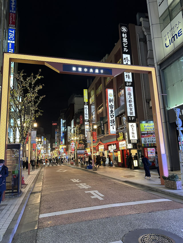 Tokyo’s Shinjuku: Neon Memories, Monster Sights & Artistic Vibes