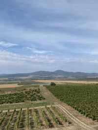 🍇 Tokaj: Land of Legendary Wine